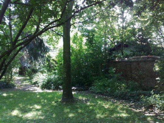 B&B Due Fiumi 1908 Travaco Siccomario Zewnętrze zdjęcie